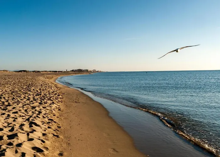 Marianne By Interhome Lägenhet Canet-en-Roussillon